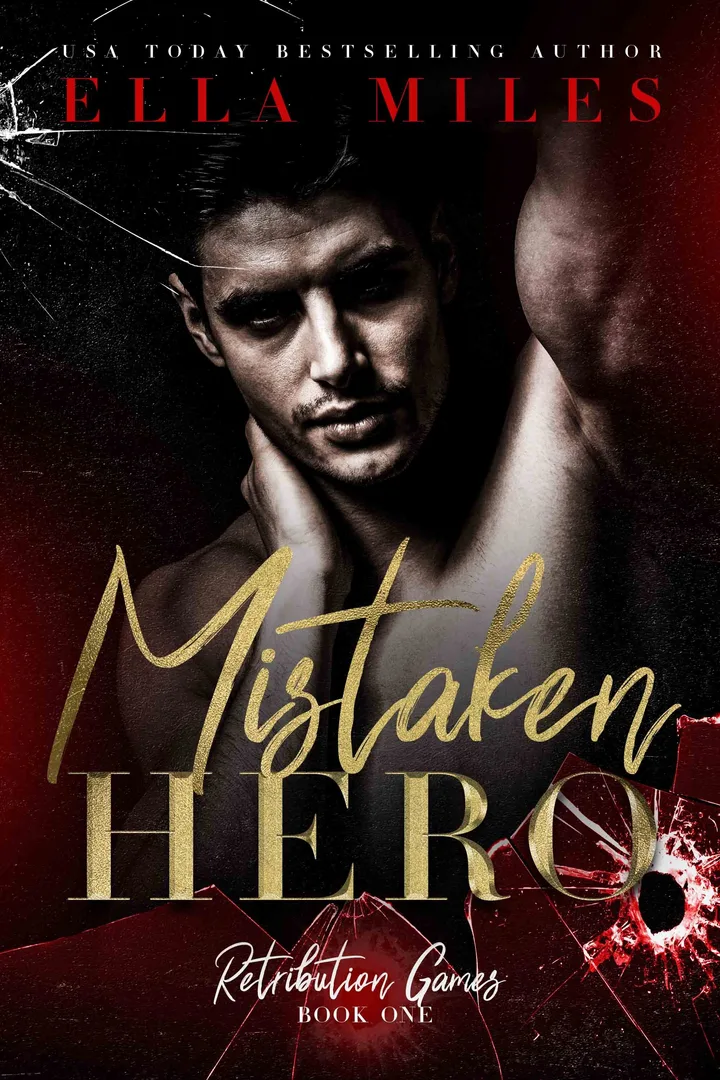 Mistaken Hero book cover